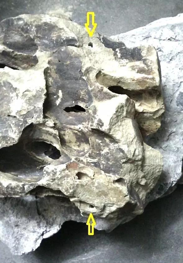 草缸造景教程：胶水造景太温柔，男人就该上电钻