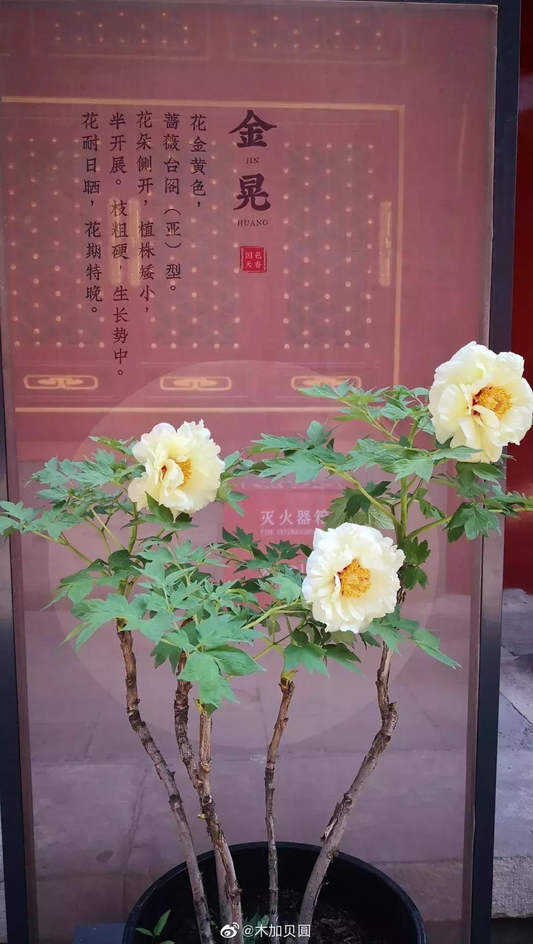 前方高能预警,前方高能预警有多高能