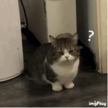 空管的润唇膏,空管的唇膏