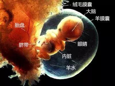 羊水破了什么感觉？有人说羊水破了感觉像尿*禁失**一样！