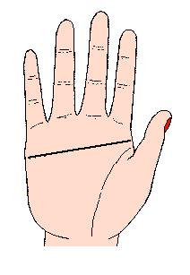 手相解密,手相掌纹分析学