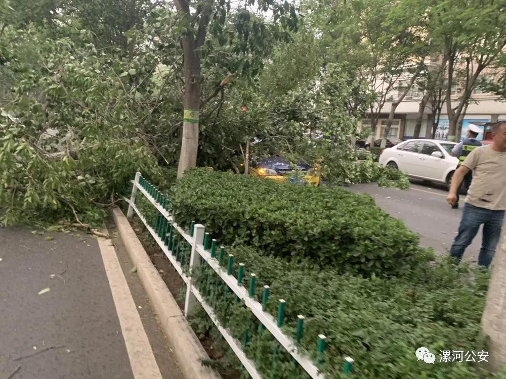 漯河救助站,漯河紧急避难所