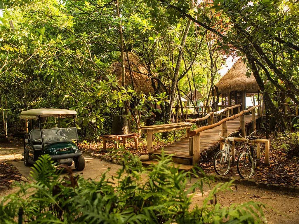 白本护照出境法国旅游免签吗,白本护照旅游去哪个国家比较好