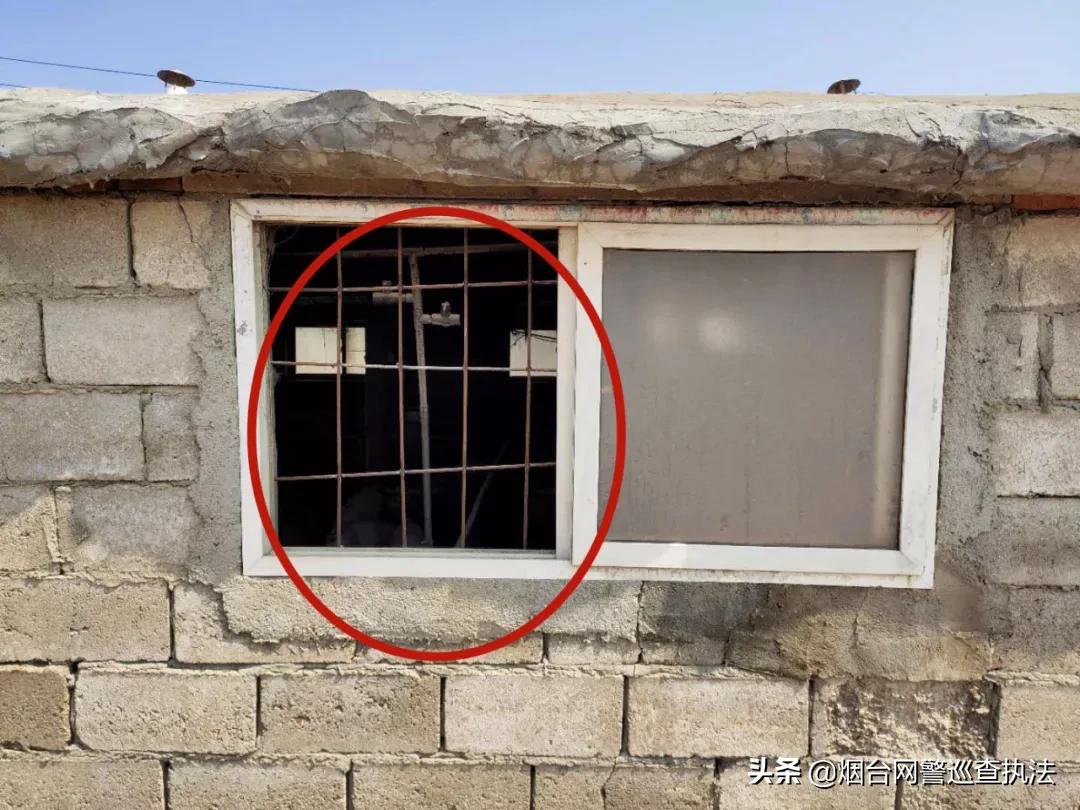 月黑风高偷猪崽，蜀黍叫你“赔了夫人又折兵”！