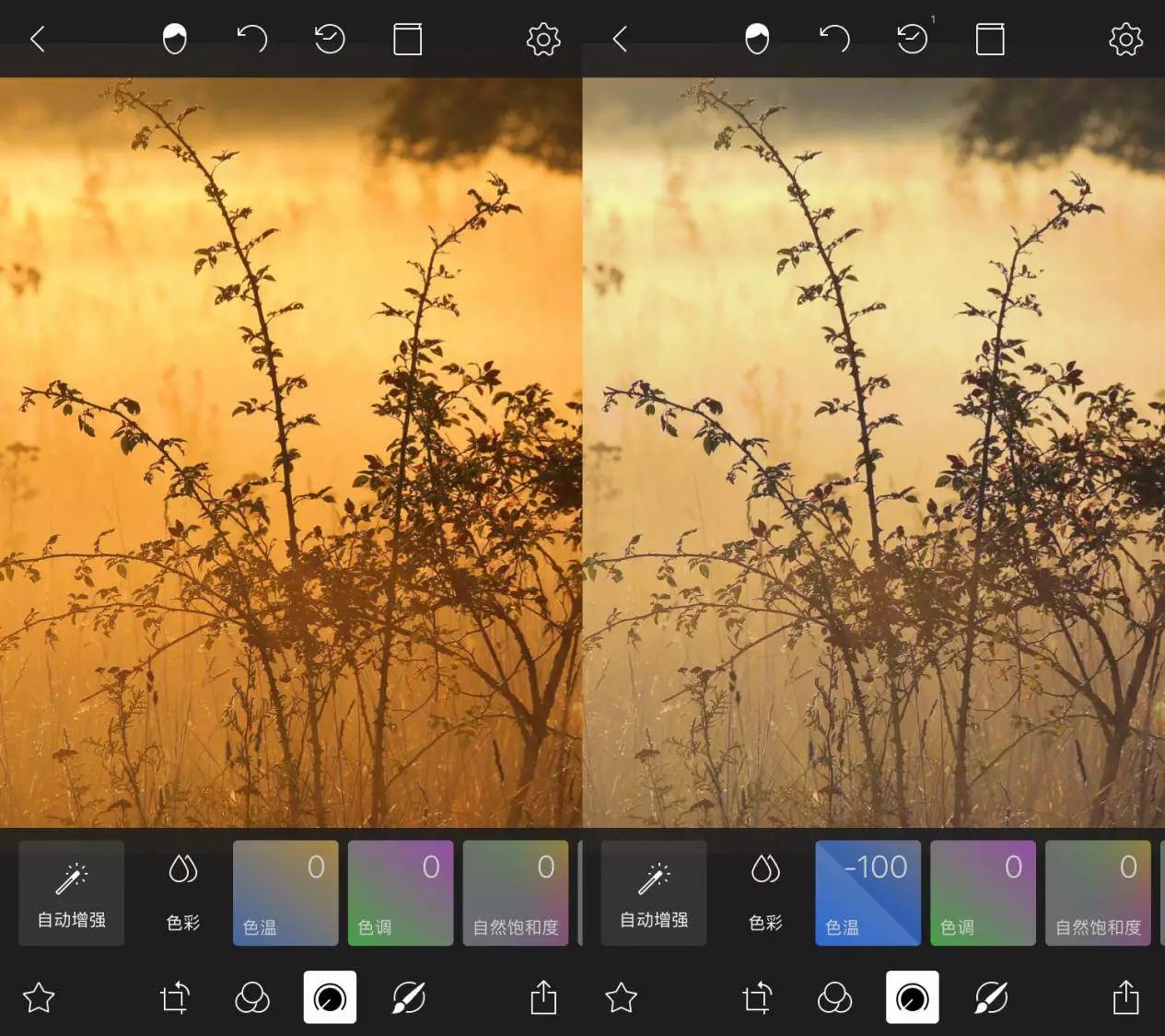 每日后期术语|了解「色温」