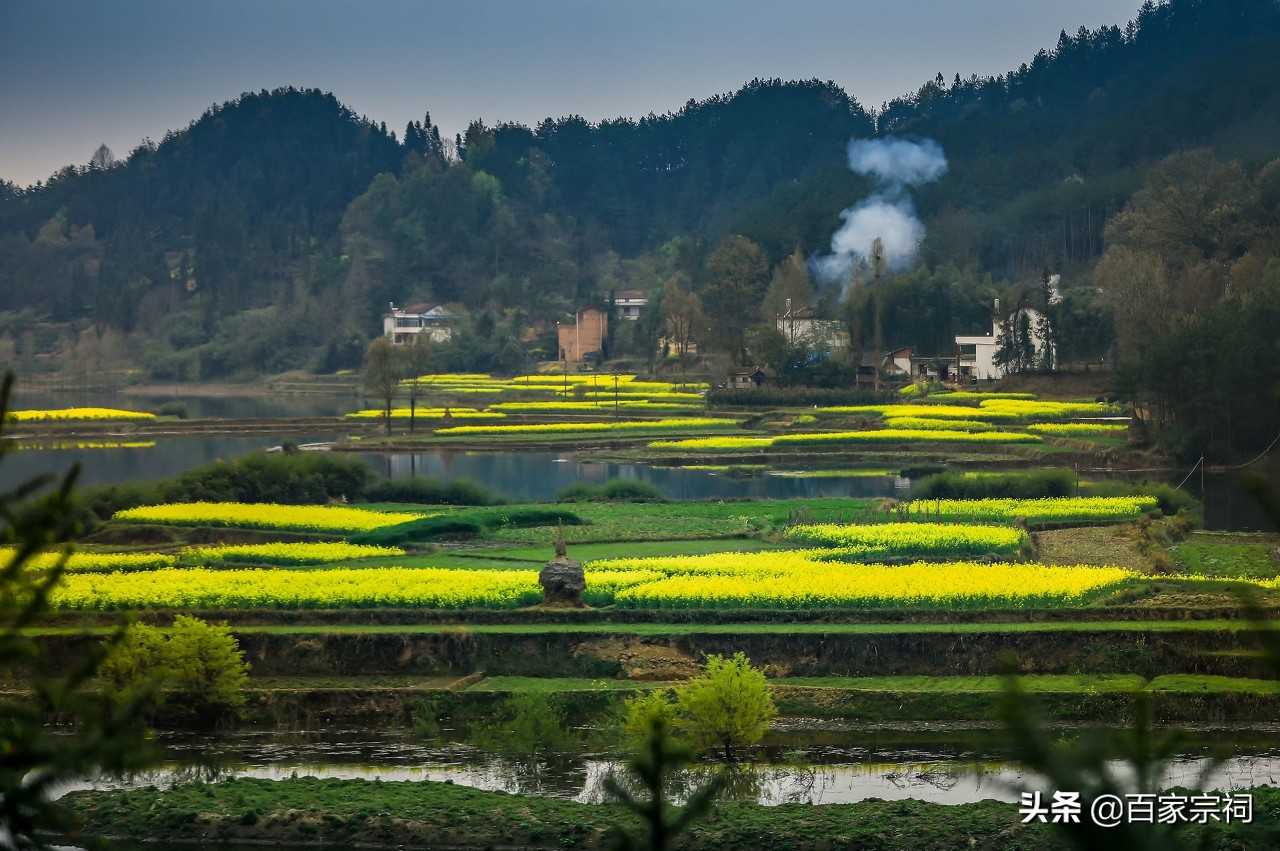陇西李氏祖籍是哪里的,河南陇西李氏家族祖籍哪里
