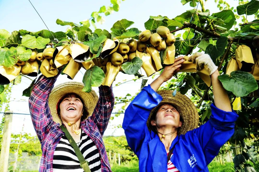 赤壁和赤壁,三国的赤壁