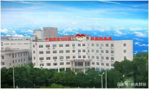 南昌企业营收排名前十的有哪些,南昌工业企业有哪些