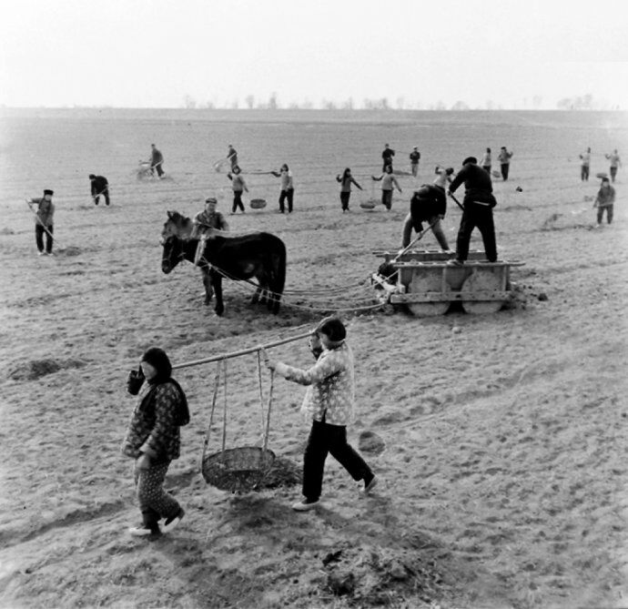 回忆初心出走半生归来仍是少年,出走半生如今不再是少年