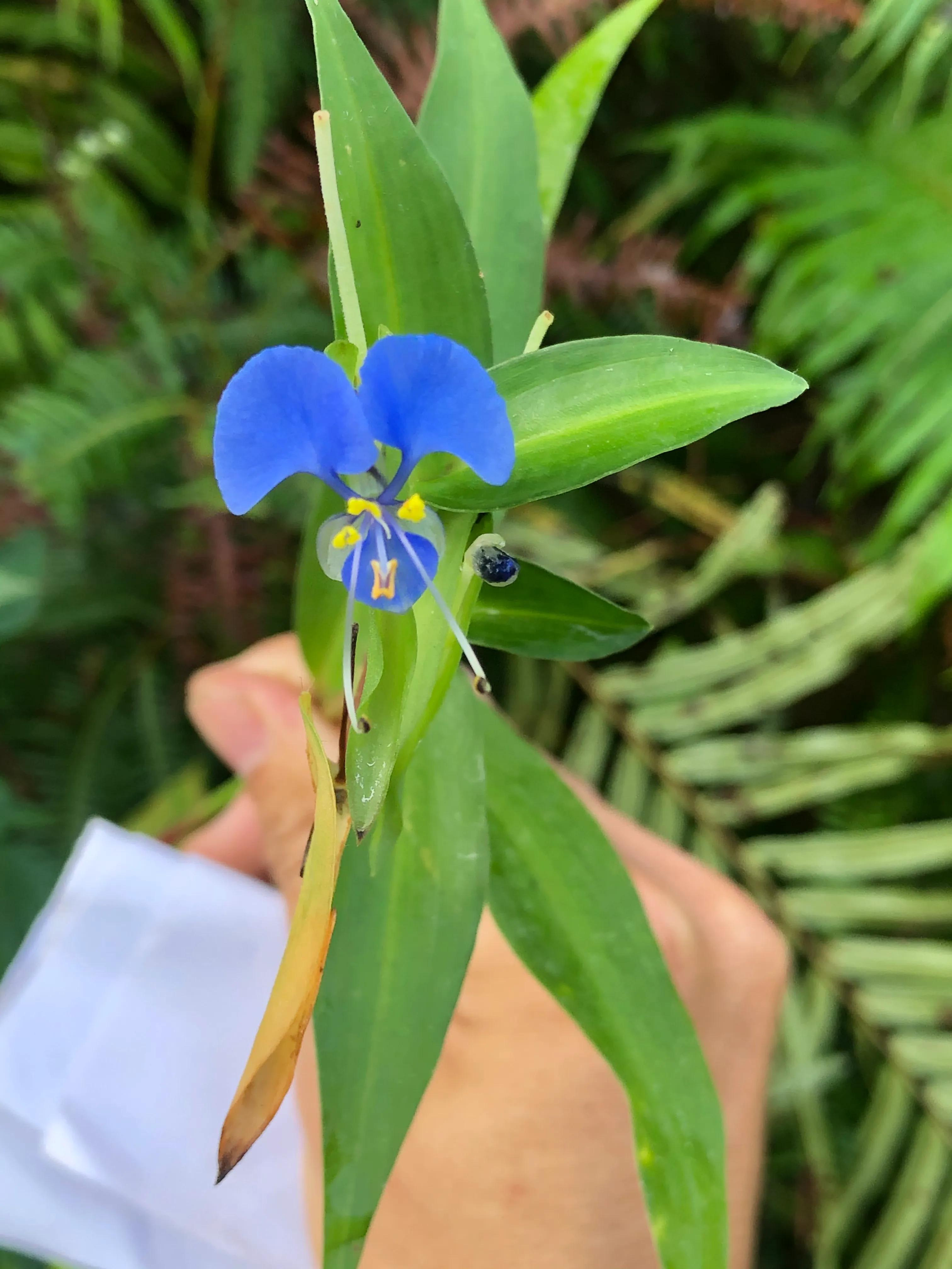 睡不着又来一篇呵呵，不写情不写爱，写点雅的不香吗？哈哈