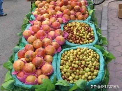 农村致富经:摆摊赚钱很难吗？那是因为你方法不对，来学学吧！