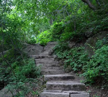 优秀作文《宁静的冬》从此风雨不急，带着那片静去追梦。