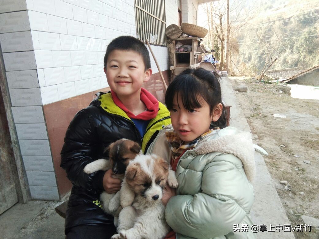 掌上中国之“思语家的小狗”