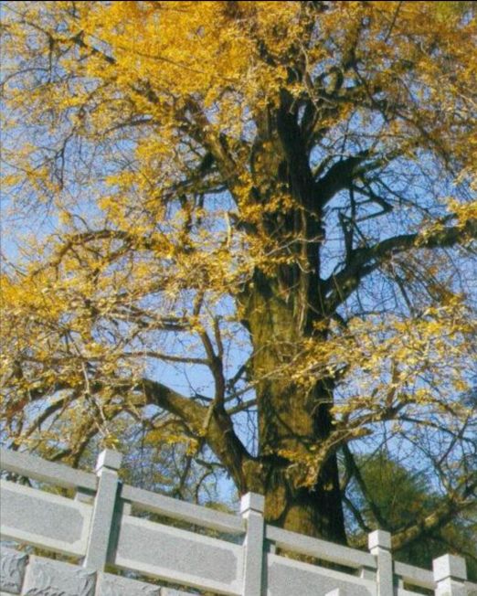 华容最新投资项目,华容旅游产业怎么样