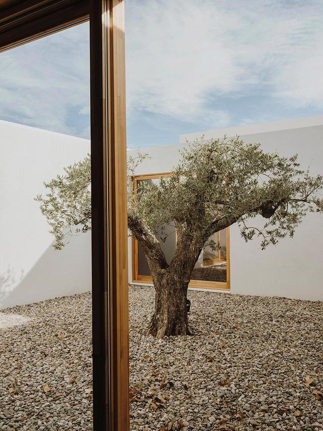 阿兹海默日间医疗中心，利用自然提高幸福感