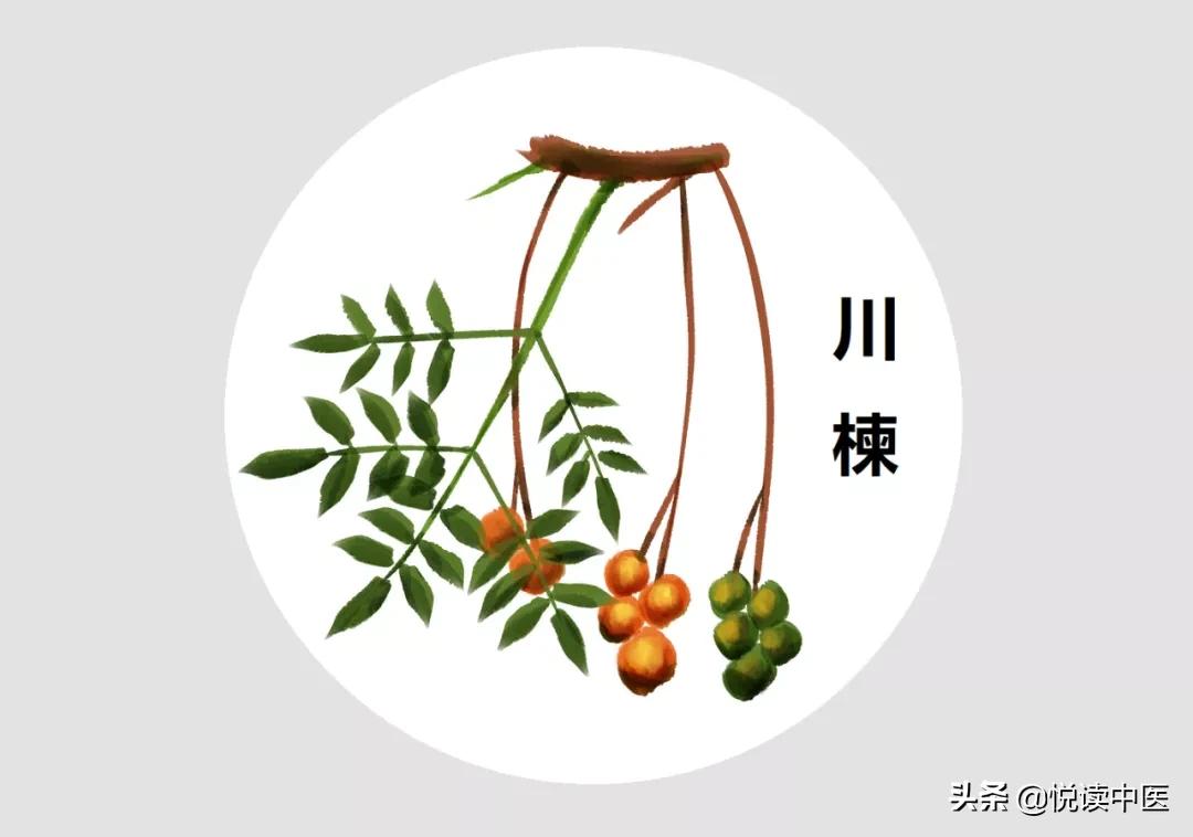 胃溃疡肠溃疡的最佳治疗方法大全,胃溃疡的中药调理方法