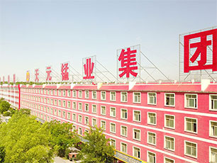 宁夏前首富贾天将,贾天将归来