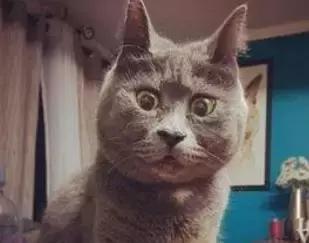 央视曝光哪些玩意是假货,央视曝光假货真假