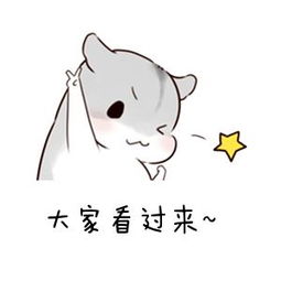 水费用微信怎么交,水费怎么交用微信