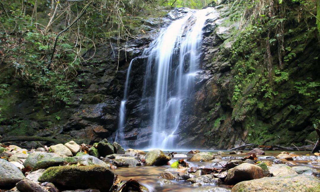 封开县黑石顶原始森林保护区,广东封开黑石顶北回归线上的绿洲