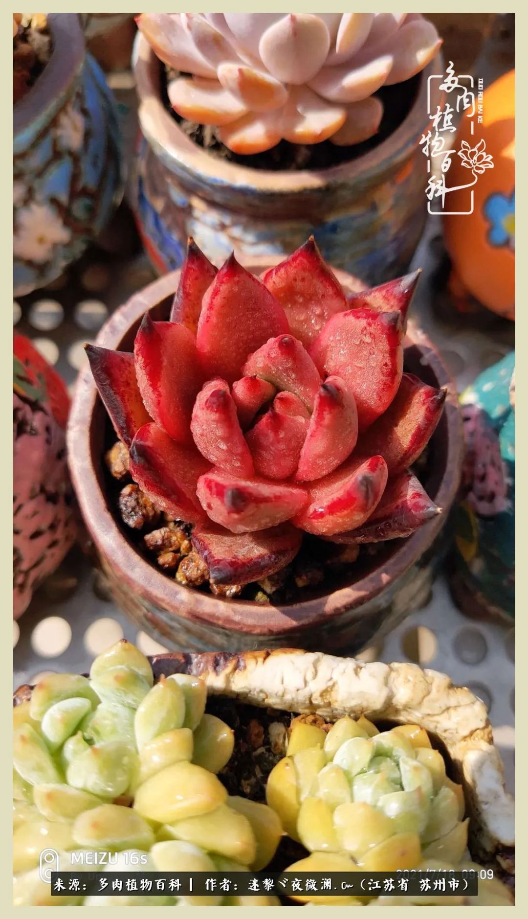 秋尽冬来岁月不居时节如流,岁月不居时节如流水