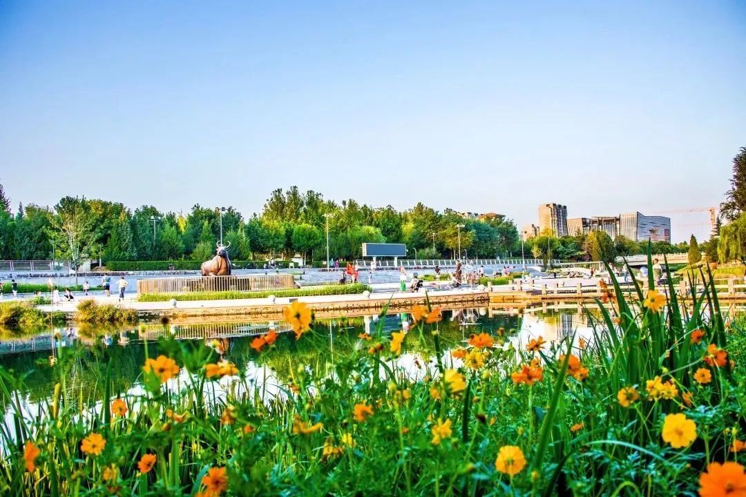 荣获乡村振兴优秀证书,2023乡村振兴成就奖