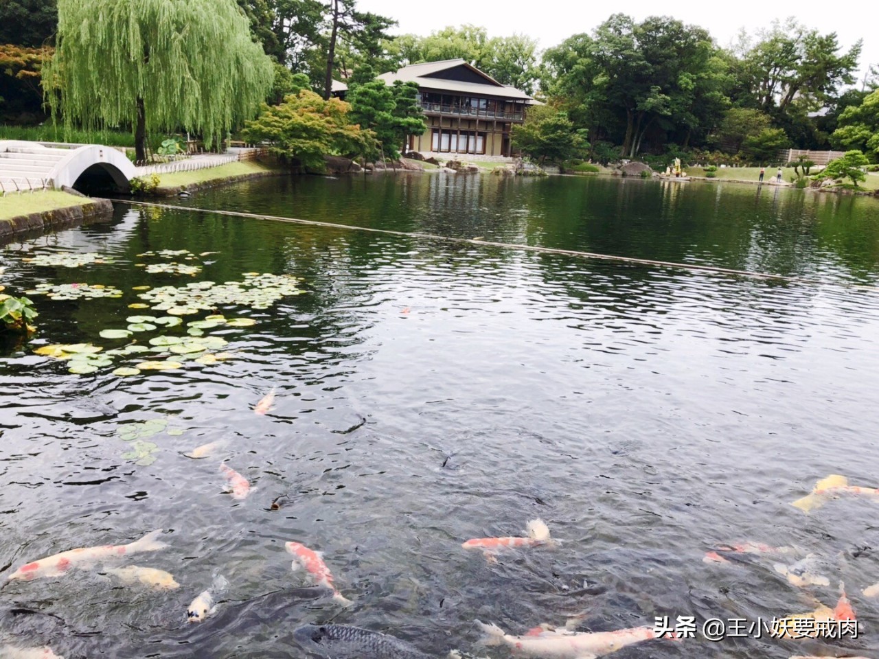 日本攻略自由行大阪,日本自由行攻略名古屋