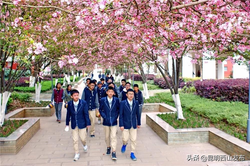 昆一中西山学校教师名单,昆一中西山学校电话号码