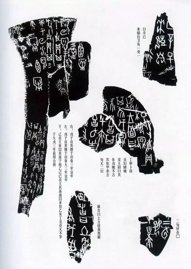 甲骨拓片精选,甲骨文拓片书法作品