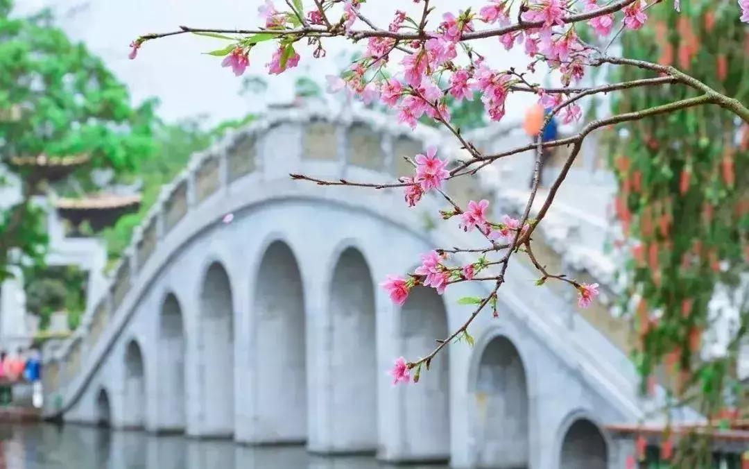 番禺好看的街景,番禺美丽的风光