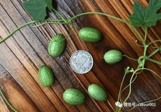 常州这10个被全省表彰的“网红村”、“创意园”，你去过吗？