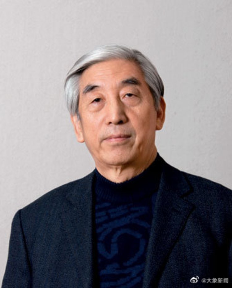 人们对张海书法如何评价,最强大脑张卓豪被淘汰