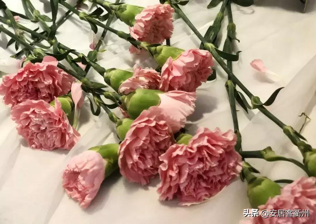 国金旭辉城好吗,国金旭辉城得房率