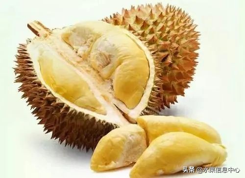 水果批发市场卖水果怎么收费,新手去水果批发市场的几大技巧