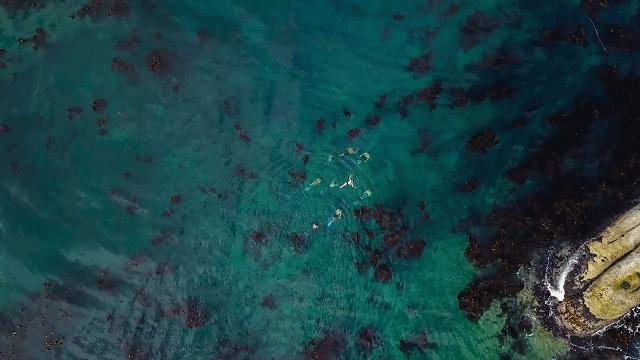 人鱼情未了在线阅读,人鱼情未了电视剧免费观看