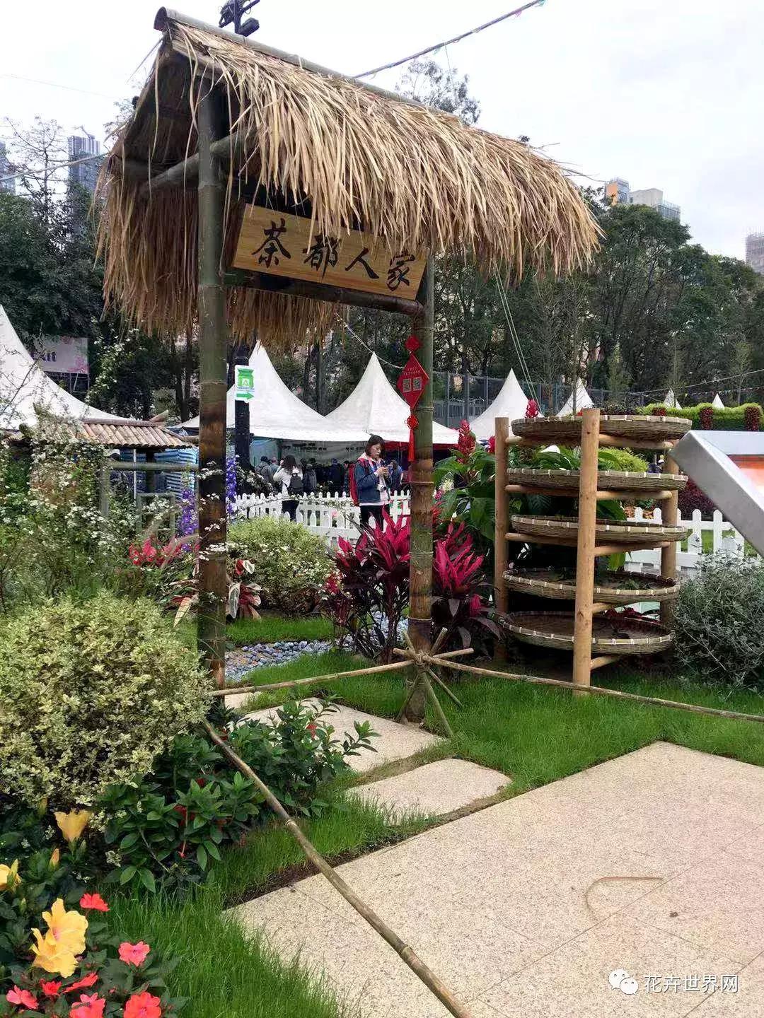 香港花卉艺术展,共赴盛会活动