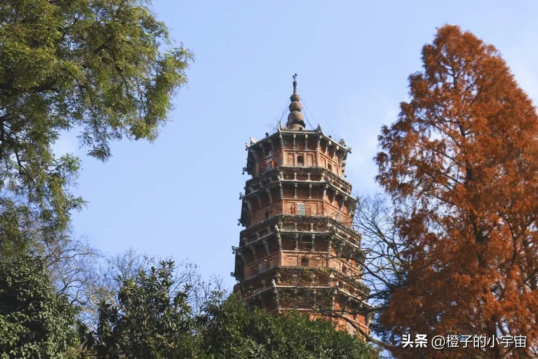 便宜到你怀疑人生的零食店,贵得能让你怀疑人生的菜