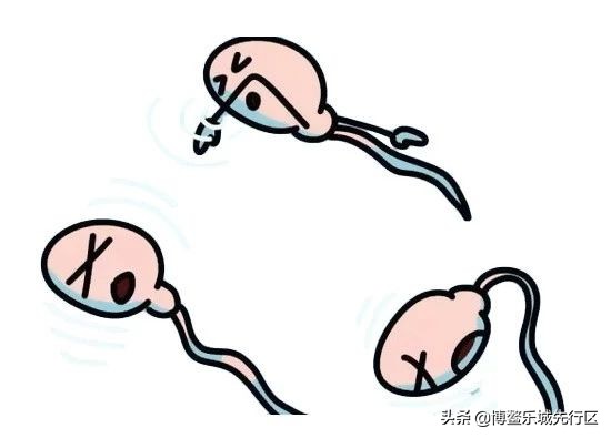 一组漫画告诉你：出生前，陪你进军的几亿精子大军都去哪了？