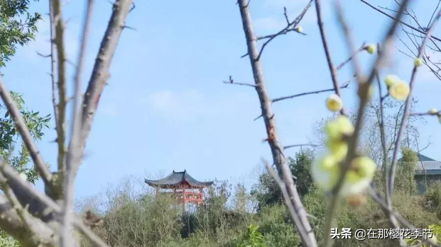 马祖岩人文公园大概多少公里,马祖岩人文公园夜光路