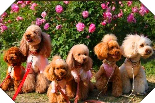 负债累累做点什么小生意,现在有啥小生意可挣钱呢