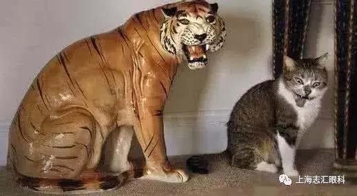 照镜子特别丑照相更丑,照镜子觉得自己好丑