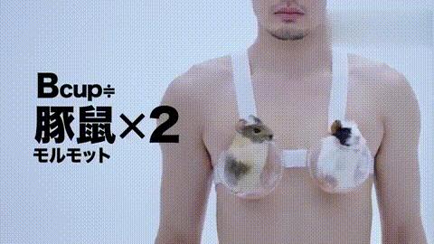 一个正经的问题,一个很正经的问题