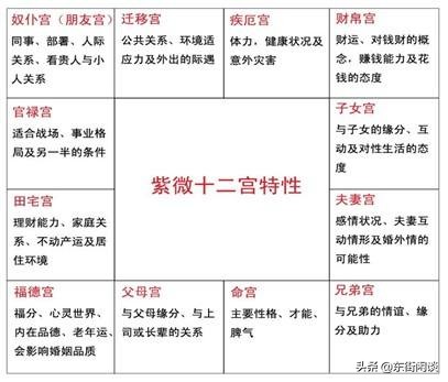紫微斗数秘术,术数九章的内容