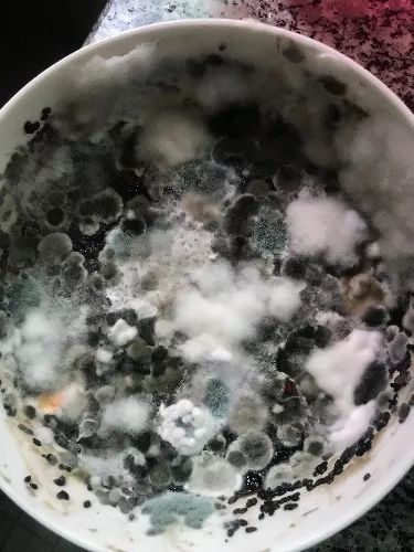 义乌一少妇千方百计花千把块钱买了阿胶，女人没这本事怎能做老婆