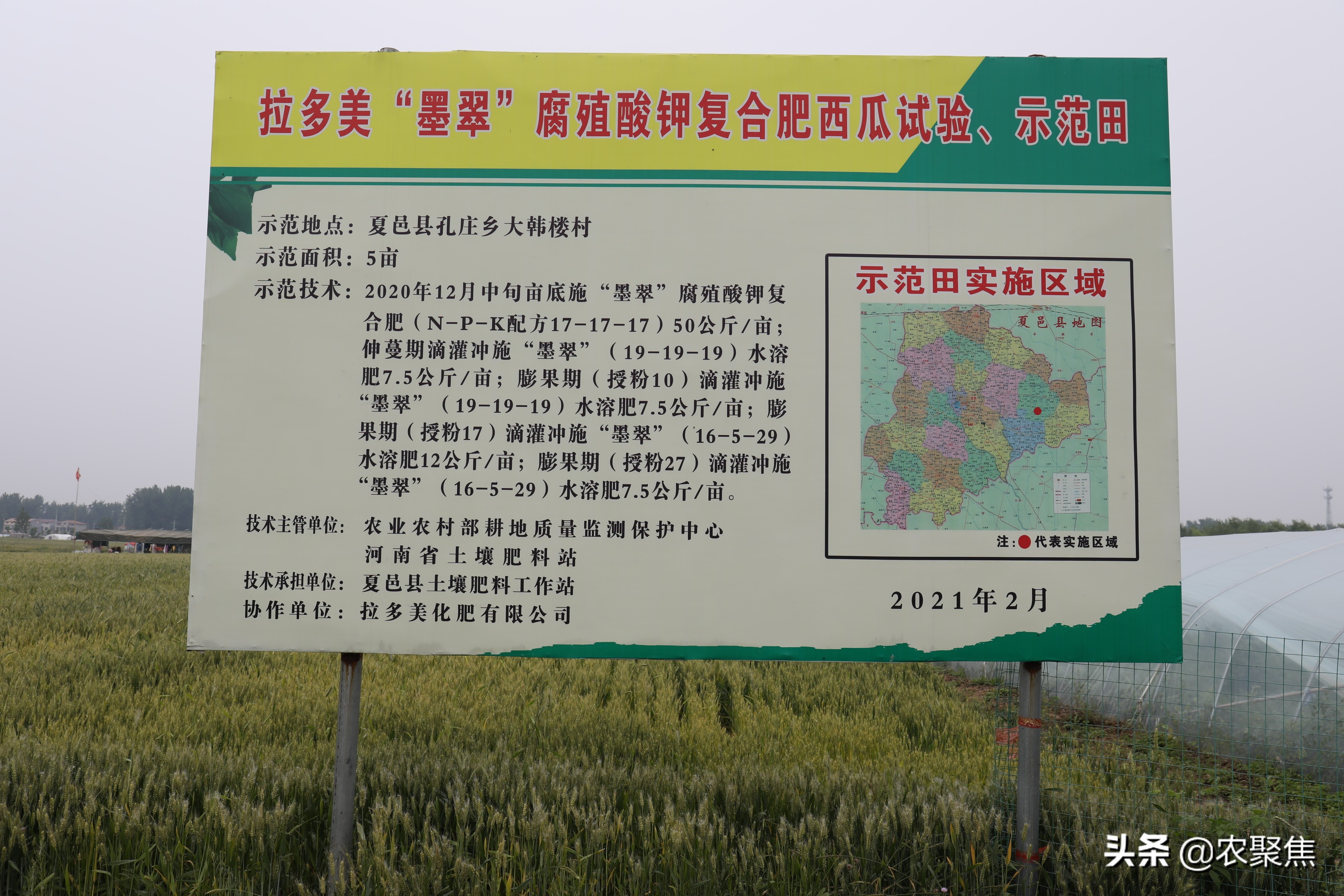 拉多美腐植酸钾肥,拉多美高塔腐植酸价格