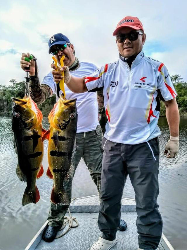 孔雀鱼凶猛,美丽凶猛观赏鱼