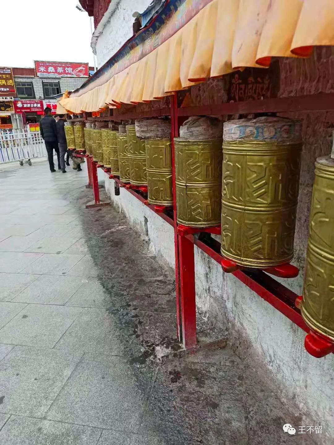 拉萨缺氧严重么,在拉萨缺氧到头痛