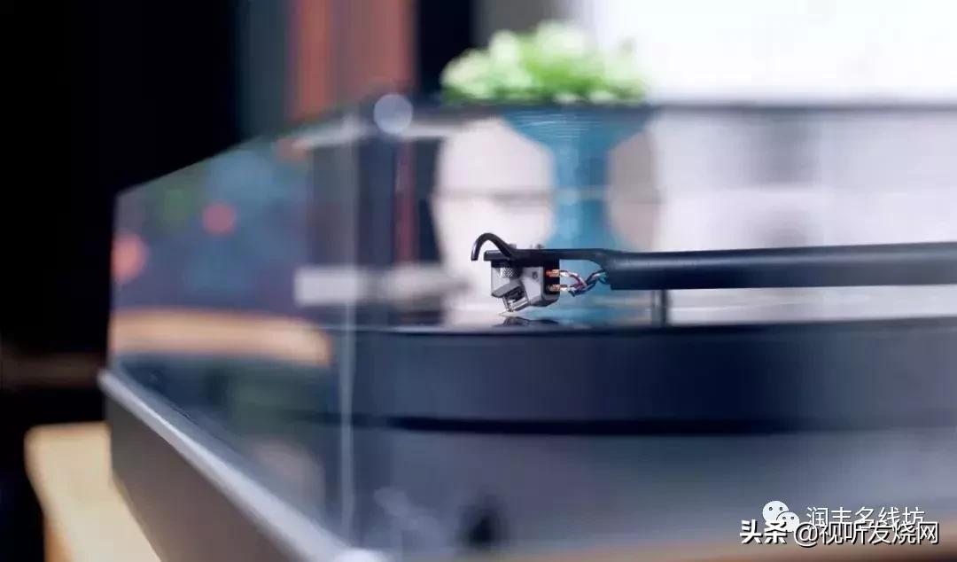 专业知识免费听,黑胶正确入门方法