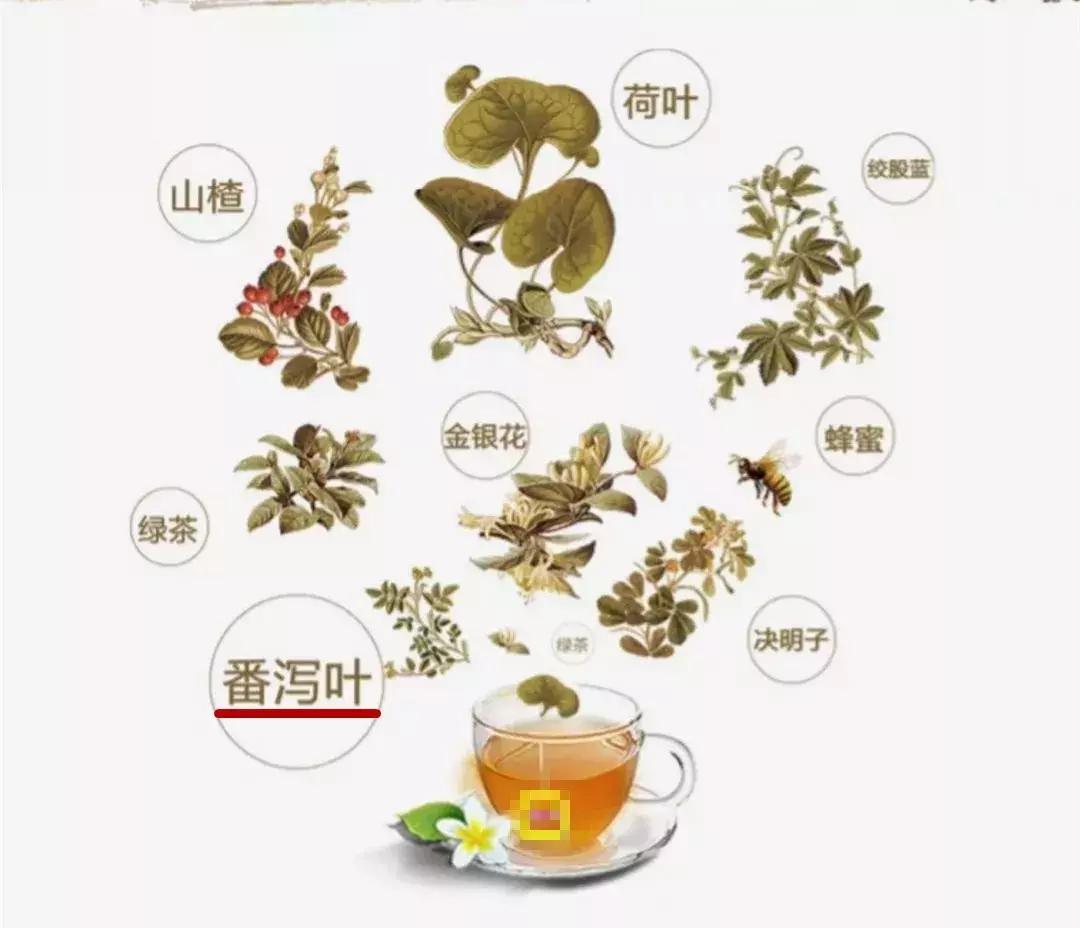 我们冒着收到律师函的危险，也要揭穿“夺命”*肥药减**的黑幕