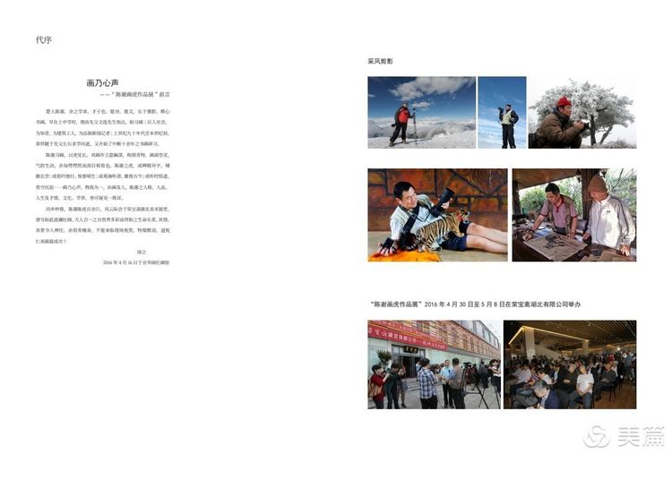 缇庝笉鑳滄敹骞寸敾浣滃搧娆ｈ祻,闄堣阿鐢昏檸